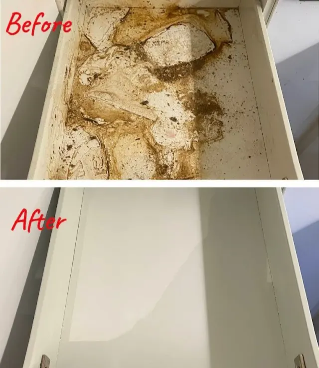 Cleaning gallery image 21